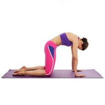 fisioterapia ed esercizi per l'osteocondrosi